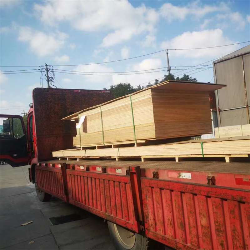 河南商丘梁园至塔城货运专线，一站式物流服务助您成功